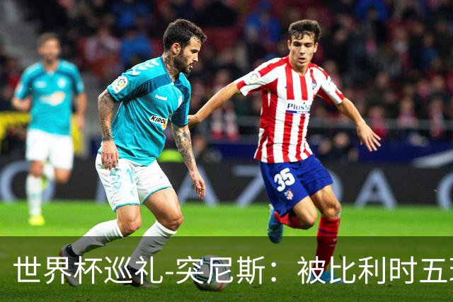 世界杯巡礼-突尼斯：被比利时五球“羞辱”，迦太基之鹰前途难测