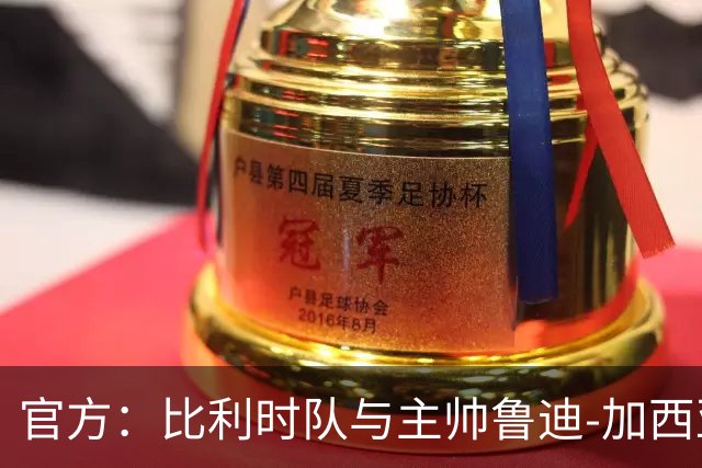 官方：比利时队与主帅鲁迪-加西亚到期不再续约