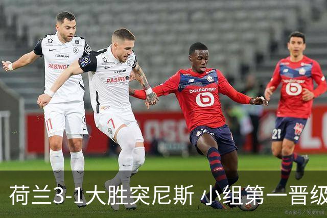 荷兰3-1大胜突尼斯 小组第一晋级淘汰赛将战摩洛哥