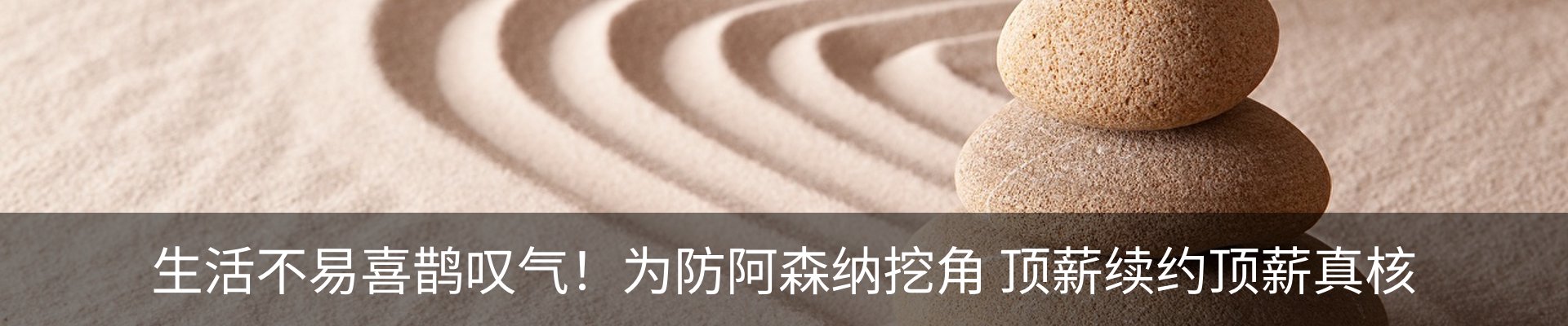 资讯动态