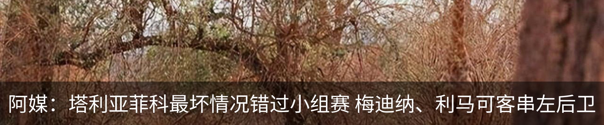 资讯动态